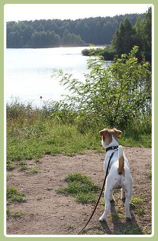 Ende August am Heidesee