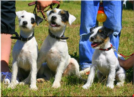 Cindl , Bella und die kleine Nova